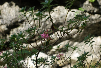 DSC06433.JPG