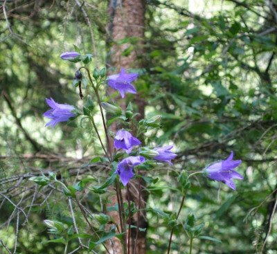DSC06411.jpg