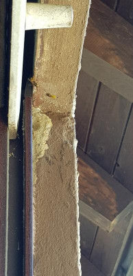 20180708_125943.jpg
