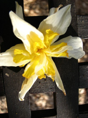 comp_april_2007_065.jpg