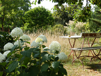 2018-07-08 Garteneinblick 1.jpg