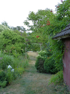 2018-07-08 Gartenimpressionen 14.jpg