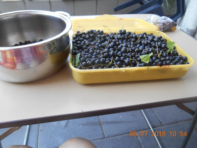 DSCN4835.JPG