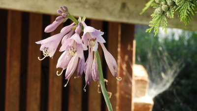 DSCN3415.JPG