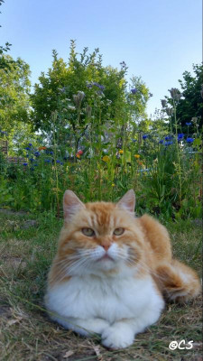 2018-07-09-11-33-20.jpg