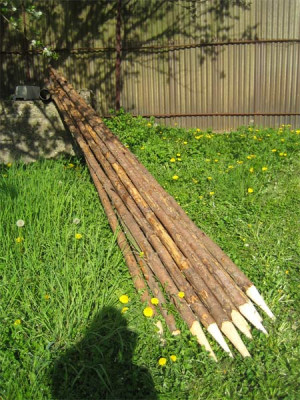 bohnenstangen_7184.jpg