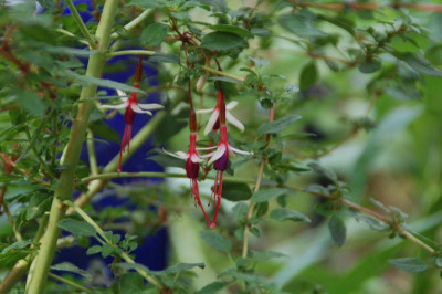 DSC_3033.JPG