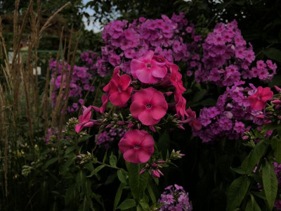 7517E6F6-1F7D-44E5-BE3B-51820D2EA2A0.jpeg