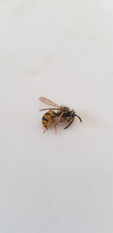 20180710_070312.jpg