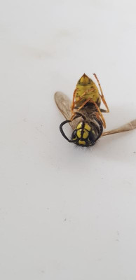 20180710_083318.jpg