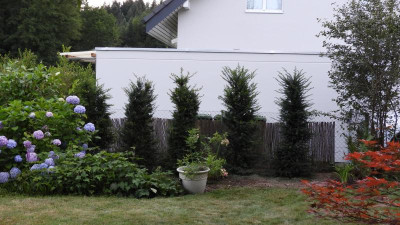 DSCN3432.JPG