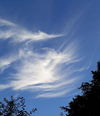 20180709_205946.jpg