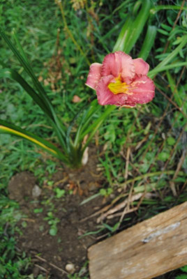 034.JPG