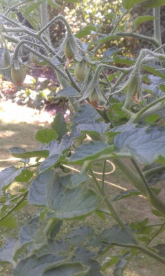 IMG-20180708-WA0008.jpeg