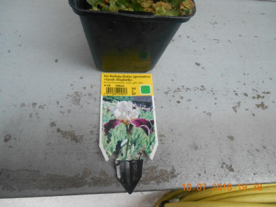 DSCN4908.JPG