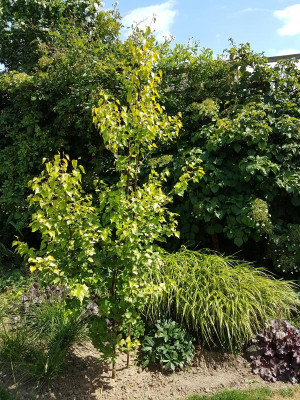 20180711_140509.jpg