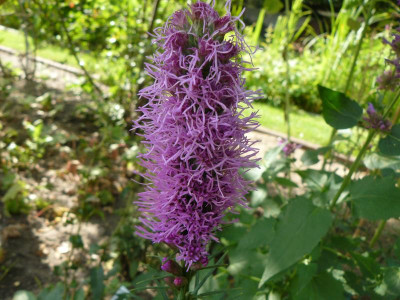 P1250232.JPG
