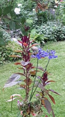 20180710_195231.jpg