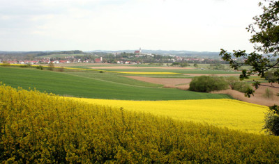 Rapsige-Zeiten-3.jpg