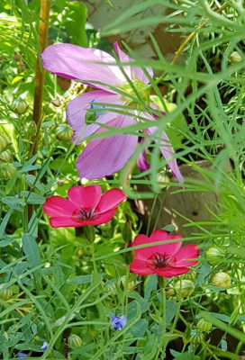 20180713_105140~2.jpg