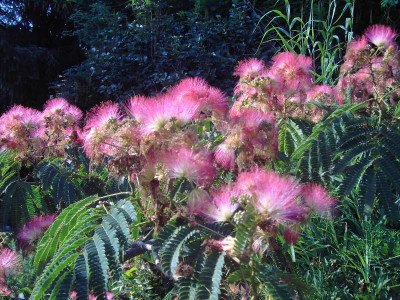 PICT2237.JPG