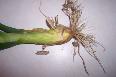 K640_100_3378.JPG