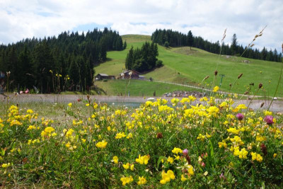 DSC06625.JPG