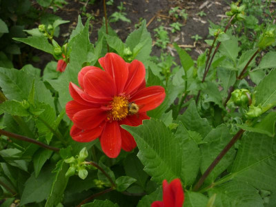 P1050062.JPG