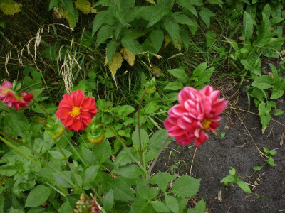 P1050063.JPG