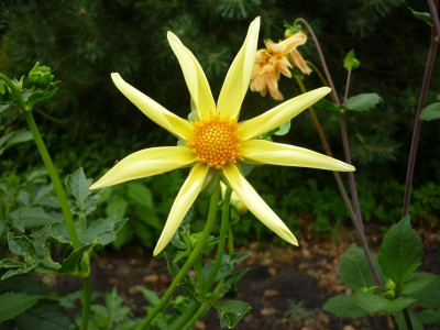 P1050070.JPG