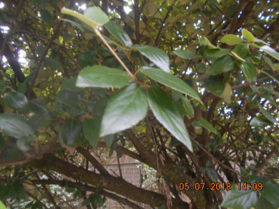 DSCN4536.jpg