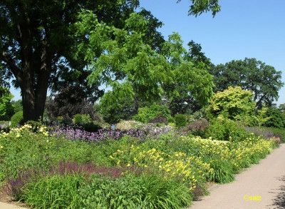 TG Bsp Wisley 06.jpg