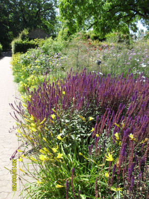TG Bsp Wisley 04.jpg