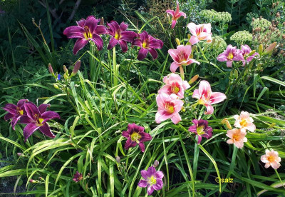 Impression 0715 2018.jpg