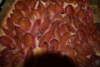 Dattelzwetschgenkuchen 001.JPG