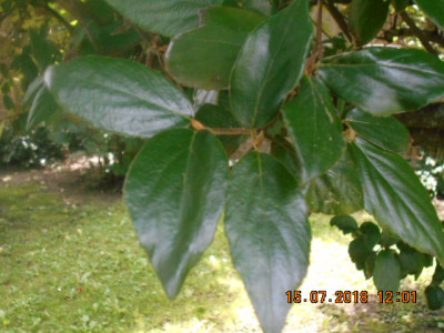 DSCN4659.jpg