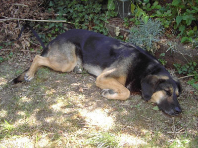 PICT2251.JPG