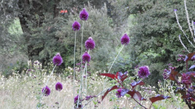 DSCN3430.JPG