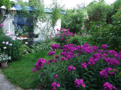 15.07.2018 14-20-27_4750.jpg
