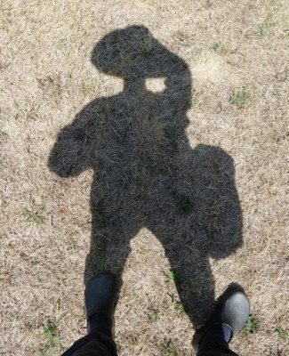 tg_180716_2.jpg