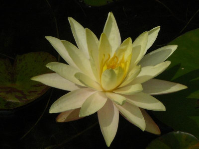P1250280.JPG