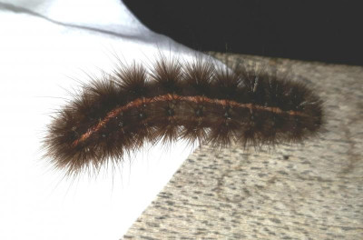 20180718_200846.jpg