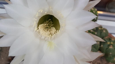 20180718_061015.jpg