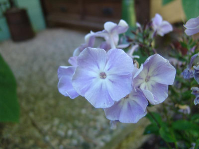 DSC02710.JPG