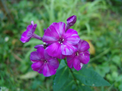 DSC02716.JPG