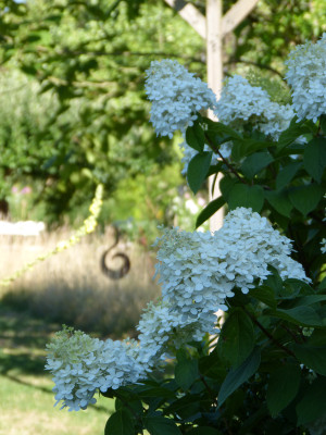 2018-07-19 Gartenimpressionen 2.jpg