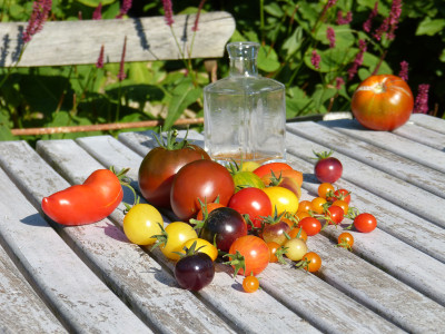 2018-07-19 Tomaten 5.jpg