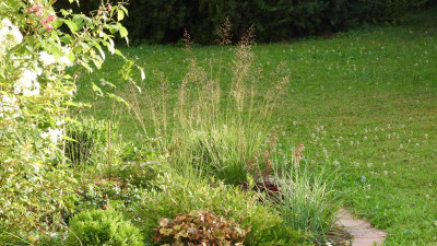 DSCN3490.JPG
