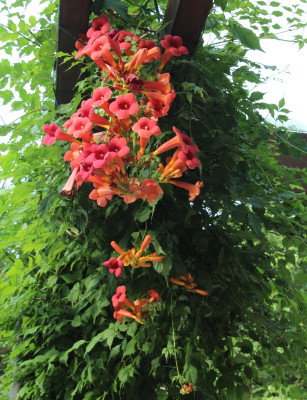 IMG_4574ß.jpg