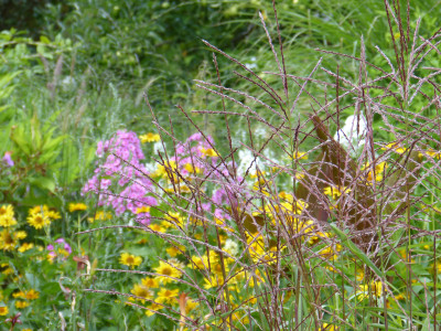 2018-07-20 Gartenimpressionen 7.jpg